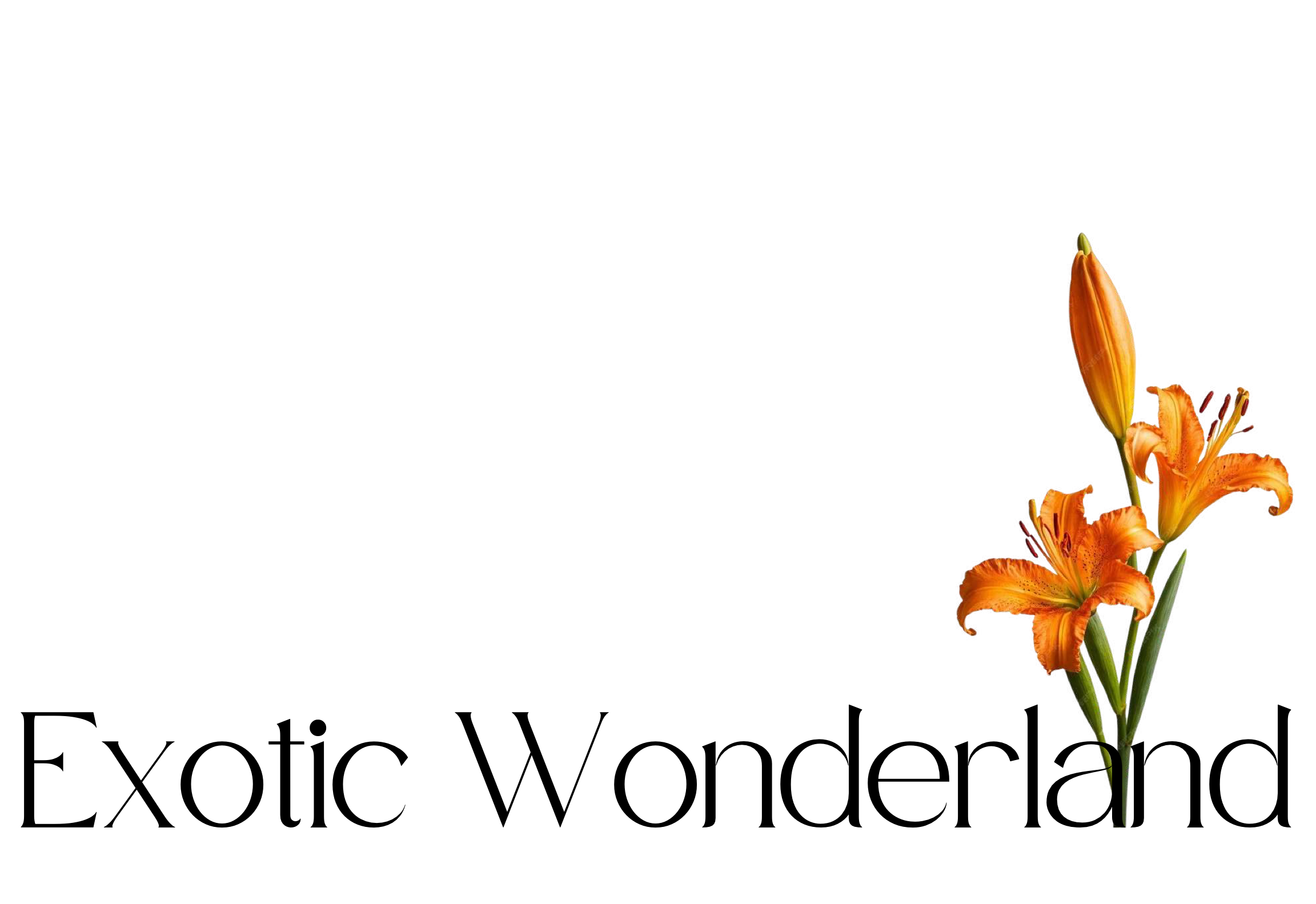 Exotic Wonderland